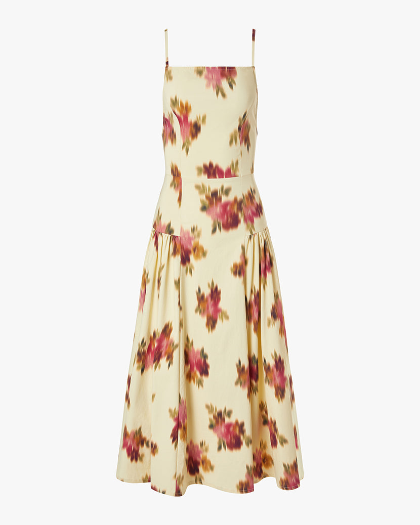 Flare Panel Midi Dress – WeWoreWhat