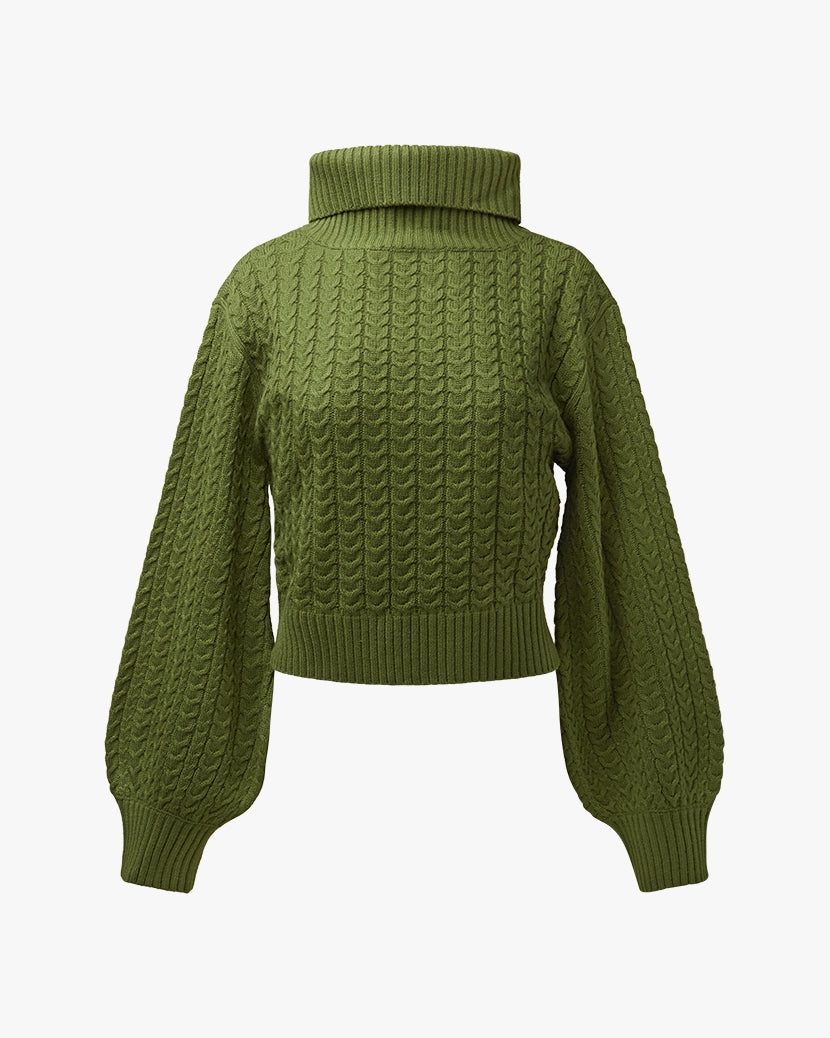 Turtleneck Cable Sweater – WeWoreWhat