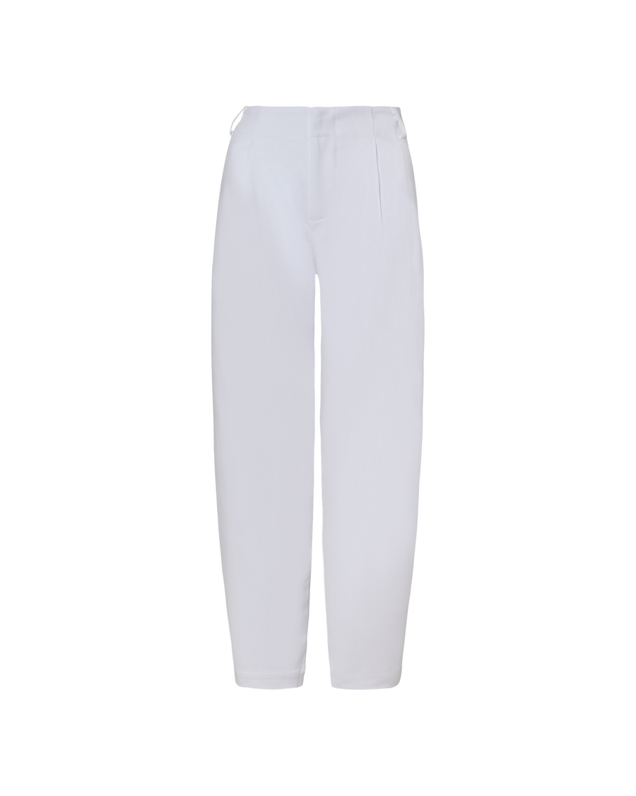 Tapered Pleated Pant – WeWoreWhat
