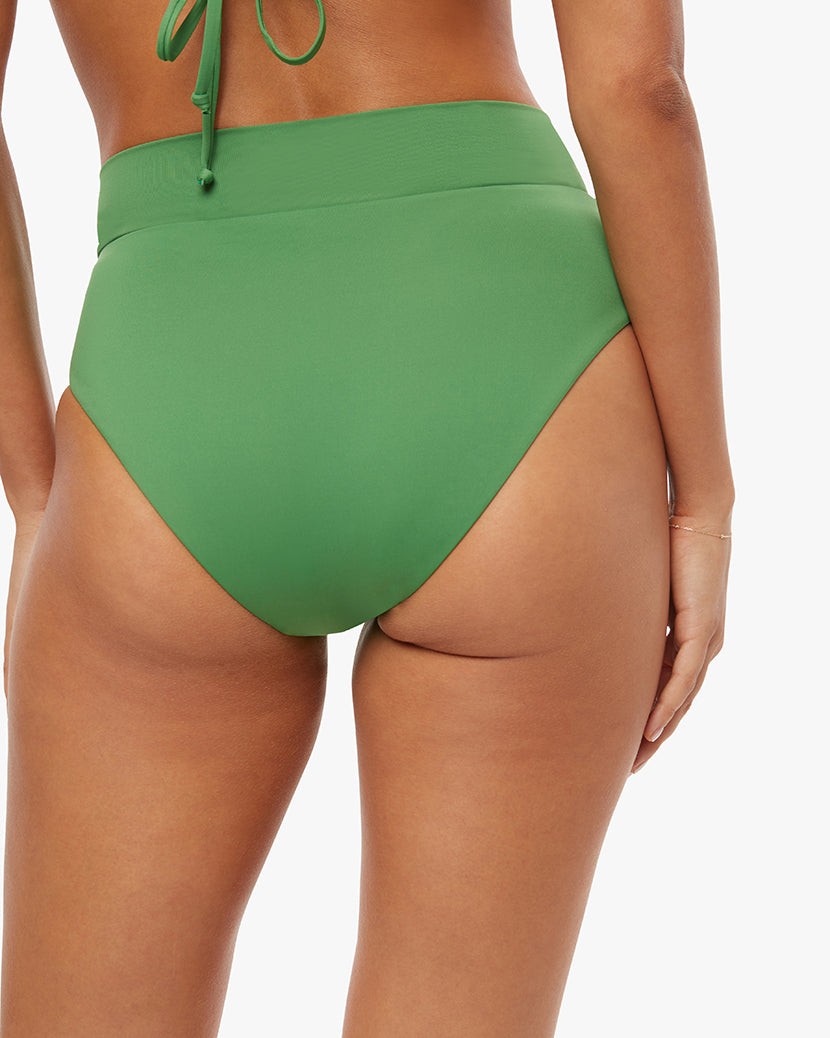 Palm Green