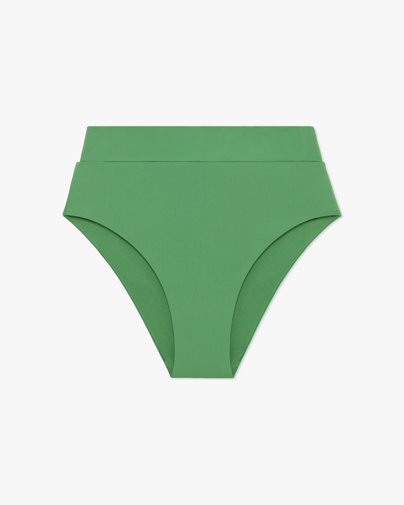 Palm Green
